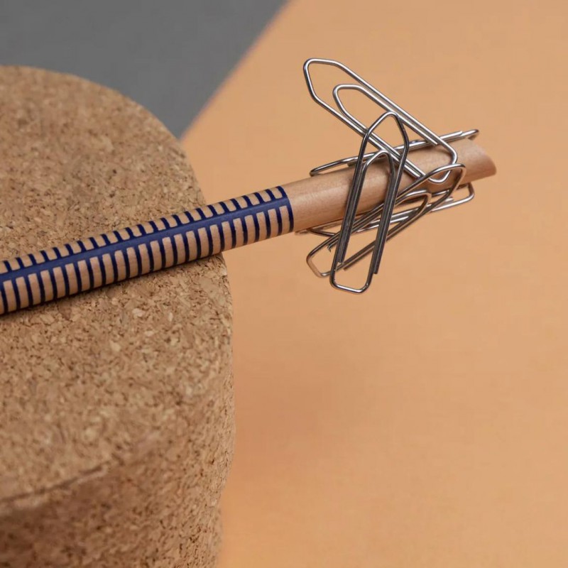 Voir la slide Crayon aimant rayure bleue - tout simplement,