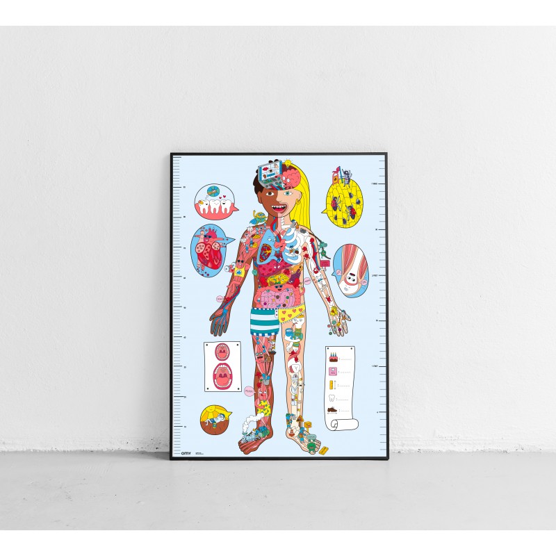*Omy - Poster et Stickers - My Body - cherche & trouve Voir la slide *Omy - Poster et Stickers - My Body - cherche & trouve