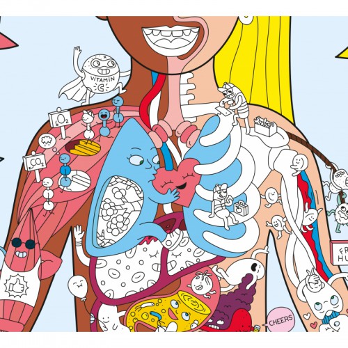 *Omy - Poster et Stickers - My Body - cherche & trouve *Omy - Poster et Stickers - My Body - cherche & trouve
