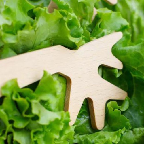 Reine Mère - Couverts à salade - Du bout des branches Reine Mère - Couverts à salade - Du bout des branches