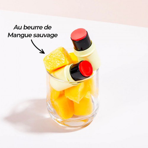 Fantastick Le Rose Baume & Blush – Teint frais et lumineux Fantastick Le Rose Baume & Blush – Teint frais et lumineux
