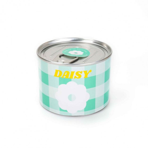 To from - Bougie Mercado - Daisy