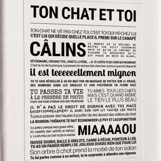 Affiche Ton chat et toi - Tout est dit