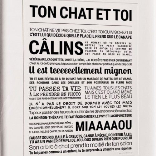 Affiche Ton chat et toi - Tout est dit