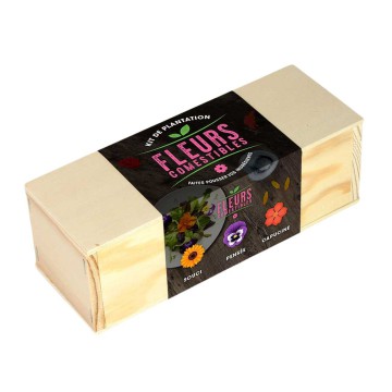 Resetea - Mini potager d'herbes aromatiques (coriandre, persil et basilic)