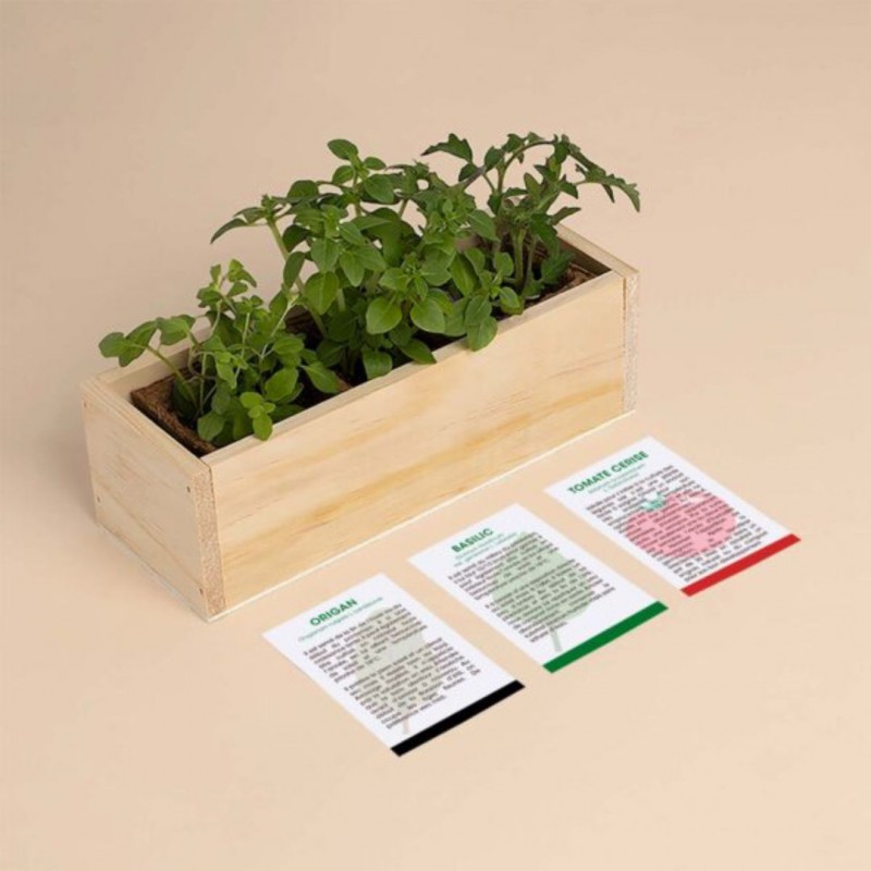 Resetea - Mini potager d'ingrédients pour les pizzas. Voir la slide Resetea - Mini potager d'ingrédients pour les pizzas.