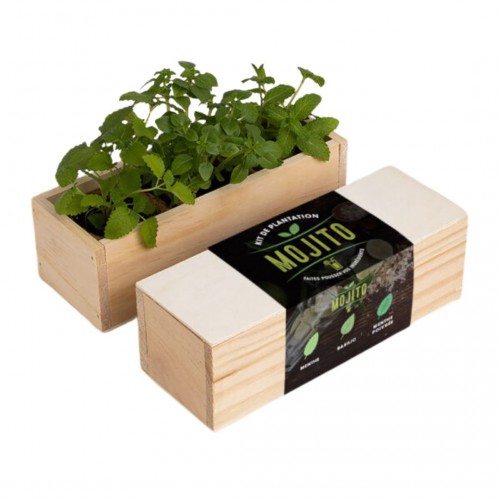Resetea - Mini potager d'herbes pour mojito Resetea - Mini potager d'herbes pour mojito