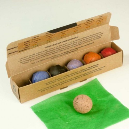 Resetea - Pack de 6 bombes de fleurs sauvages