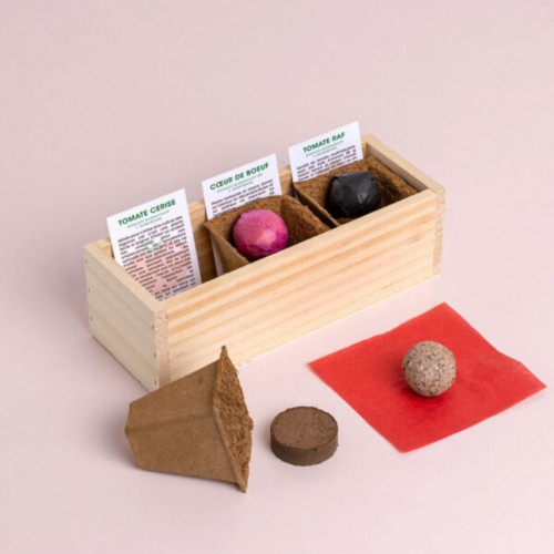 Resetea - Pack de 6 bombes de fleurs sauvages