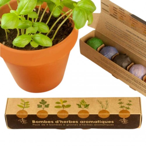 Resetea - Pack de 6 bombes d'herbes aromatiques Resetea - Pack de 6 bombes d'herbes aromatiques