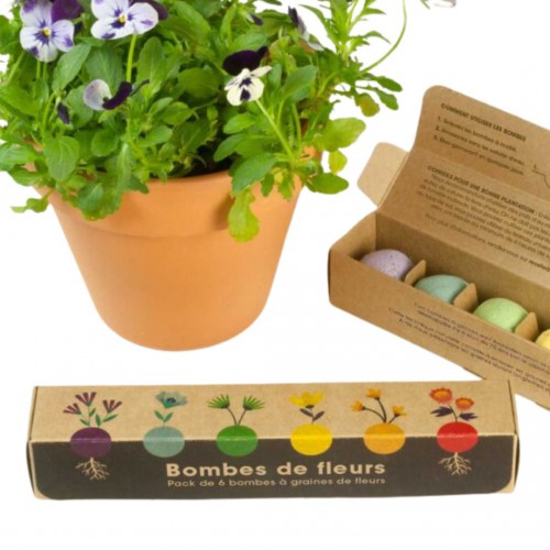 Resetea - Pack de 6 bombes de fleurs sauvages