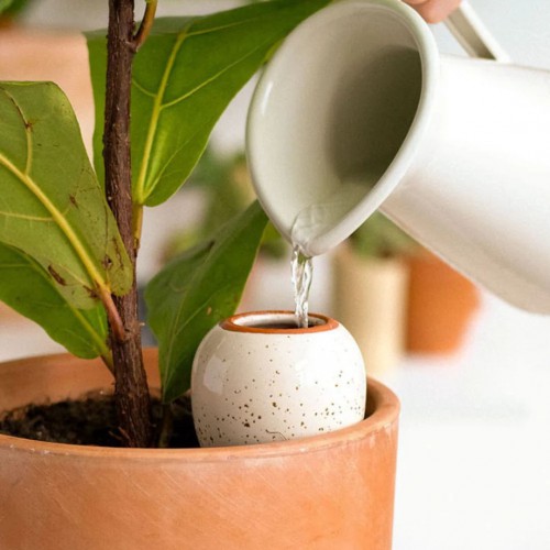 Olla blanc grainé - Pépin