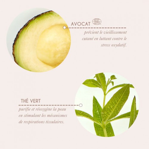 Sérum purifiant & protecteur – Thé Vert & Avocat Sérum purifiant & protecteur – Thé Vert & Avocat