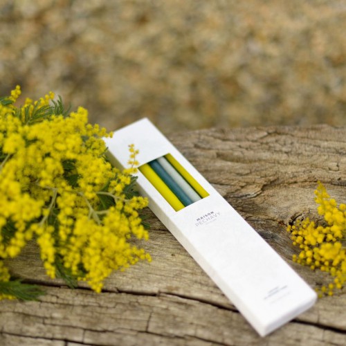 Maison Pechavy - Coffret de 10 bougies fines - Mimosa Maison Pechavy - Coffret de 10 bougies fines - Mimosa