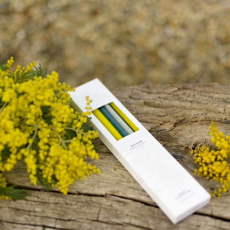 Maison Pechavy - Coffret de 10 bougies fines - Mimosa Voir la slide Maison Pechavy - Coffret de 10 bougies fines - Mimosa