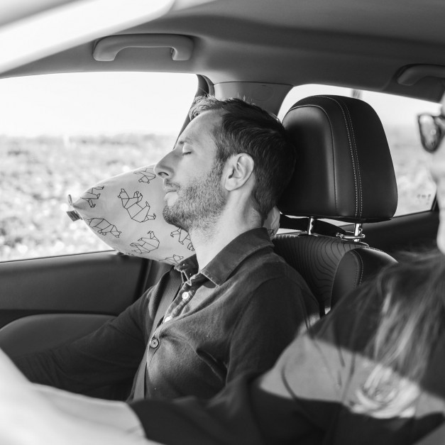 Coussin de voiture Isidor Chicago