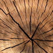 Cartes en bois